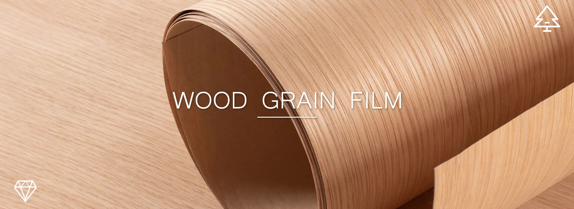 ব্যানার 06